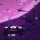 Illustration for article titled The Week In Games: Get In The Car And Driveem/em